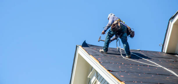 Best Roof Gutter Cleaning  in Highlands, CA